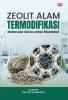 ZEOLIT ALAM TERMODIFIKASI : Molecular Sieve Untuk Bioetanol